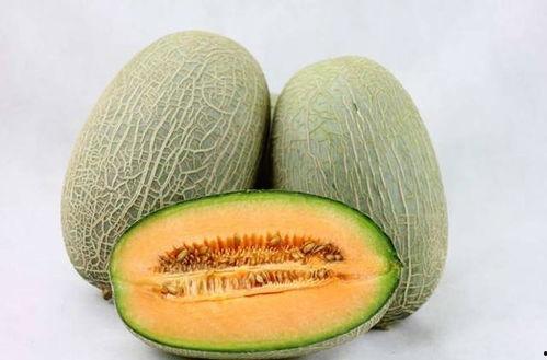 三大爷吃哈密瓜视频,甜蜜滋味，回忆满满