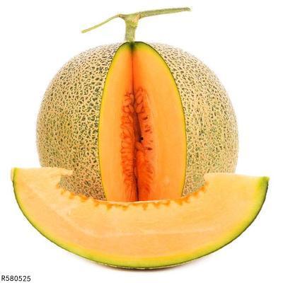 甲虫吃哈密瓜视频大全,哈密瓜视频大全趣味盘点