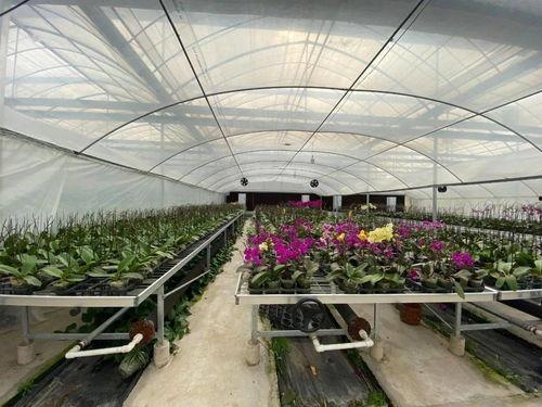 大棚吃瓜视频大全集,瓜果飘香视频大全集精彩回顾