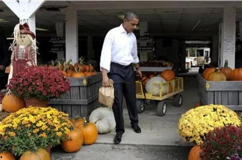 奥巴马吃瓜视频,萌态十足引网友热议