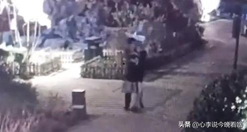 兰州野外吃瓜事件视频,一场夏日里的欢乐与争议