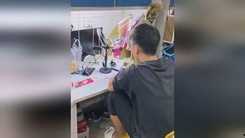 男生抱团吃瓜视频,男生抱团吃瓜，揭秘校园热点事件