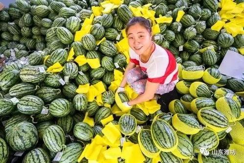 邳州靓仔吃瓜弄甜视频,吃瓜视频引网友热议