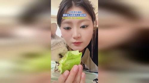 小阿瑶吃瓜视频在线观看,带你领略网络红人的魅力瞬间