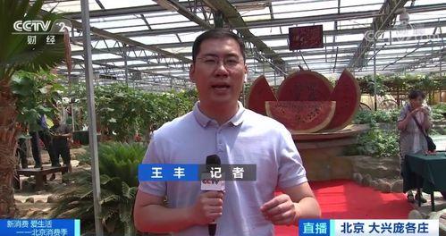 中央新闻记者吃瓜视频,揭秘幕后花絮，带你走进新闻现场