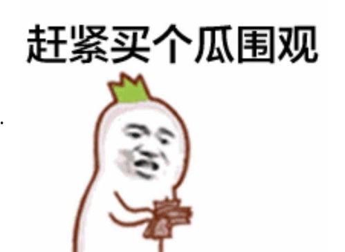 聪颖的吃瓜群众是谁啊视频